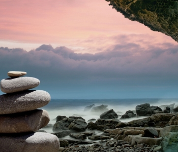 Basic pillars of your retreat: N. E. E. D. S.